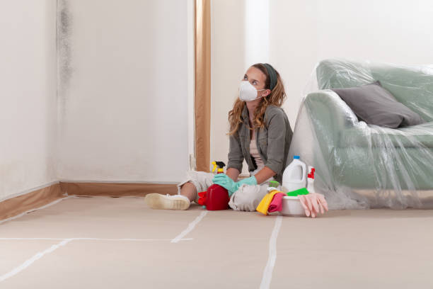 Reliable Mold Removal contractor in Chelsea, MI by Mold Remediation HQ